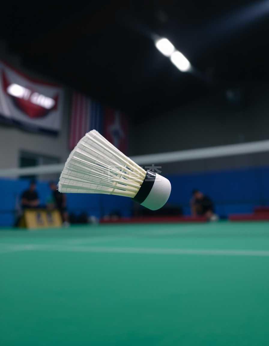 出的是不同 出的是不同