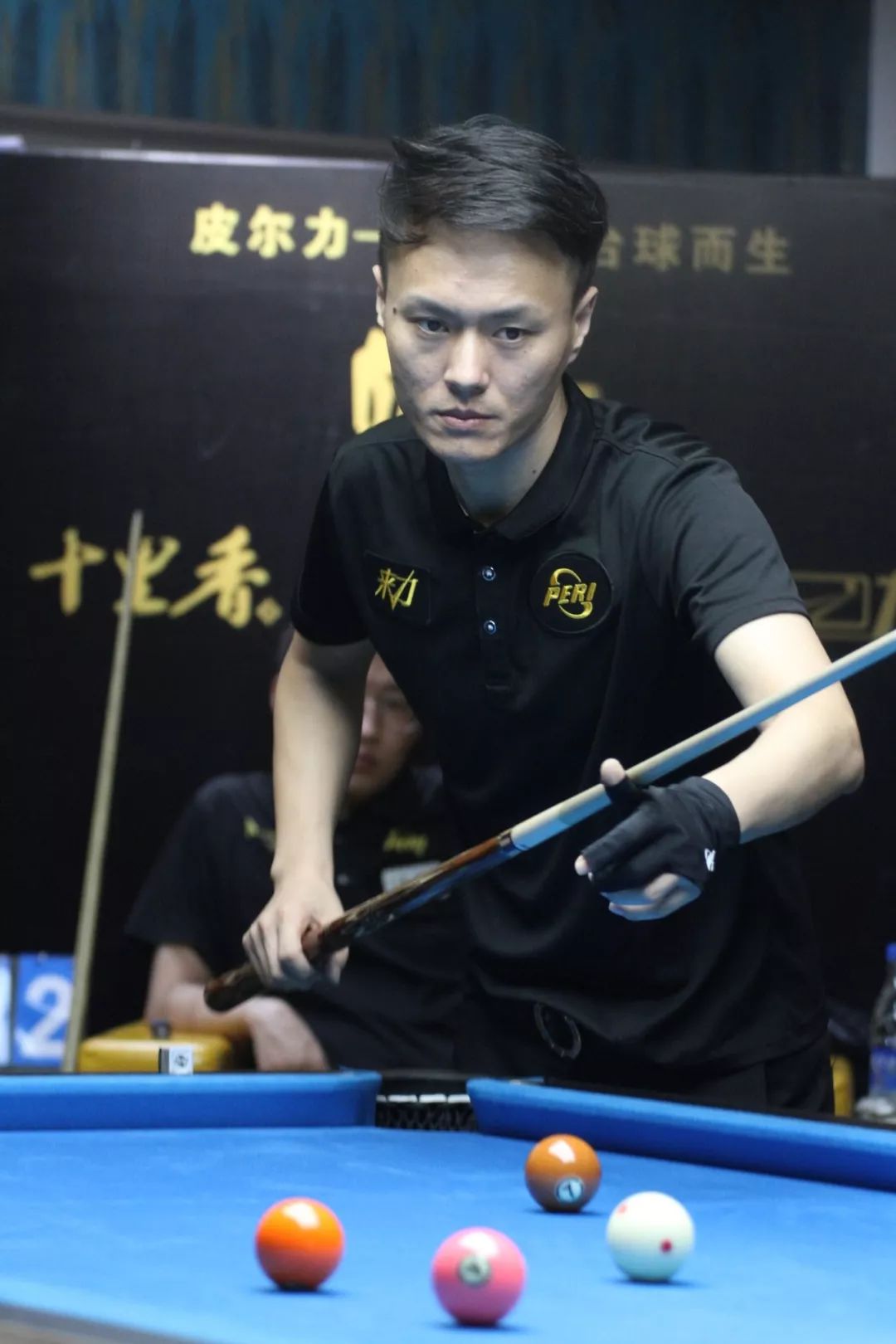 可以预见 可以预见