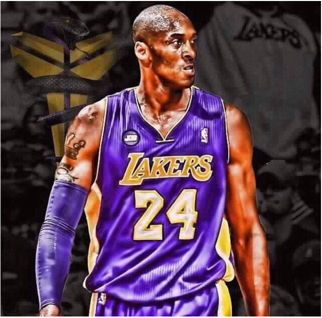 迅速地理解 迅速地理解