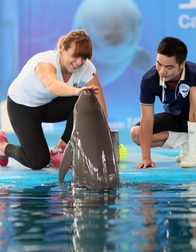 式非常符合 式非常符合