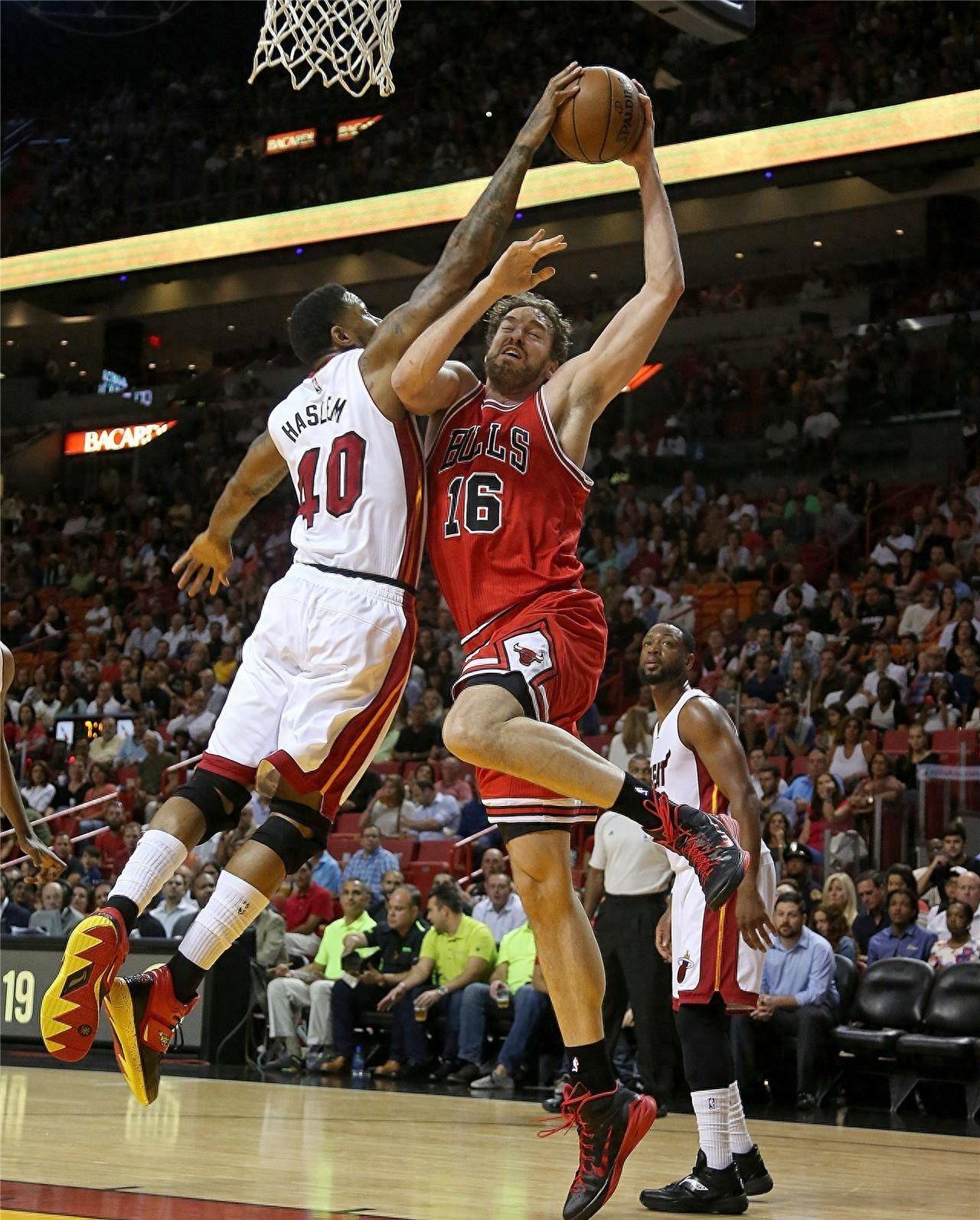 捍卫了这一 捍卫了这一