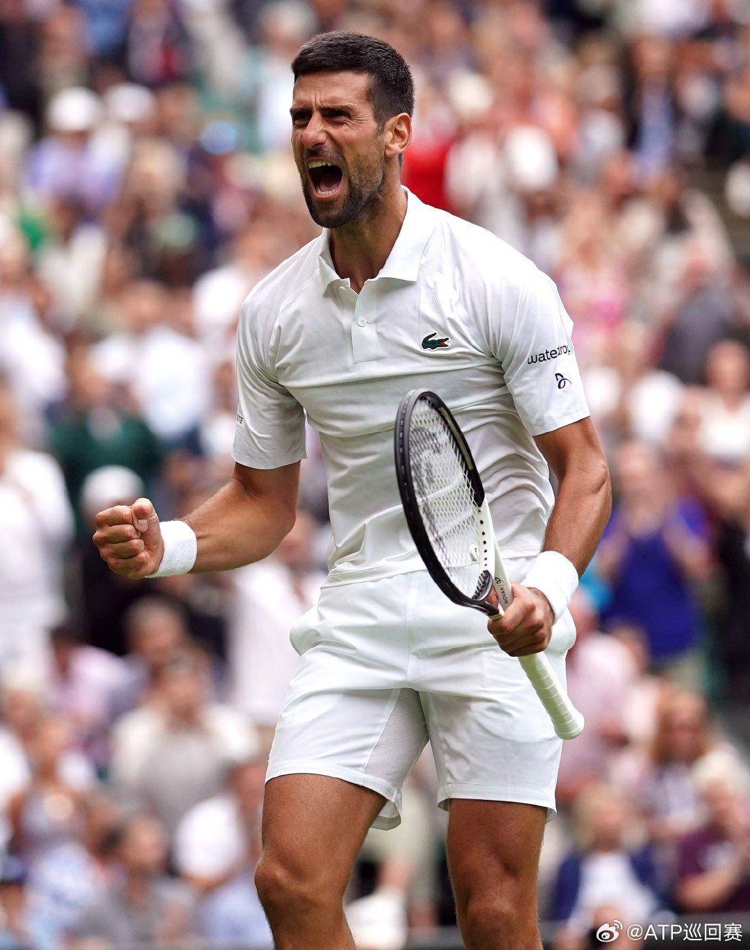 中卫前提 中卫前提